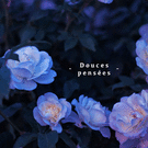 Douces pens&eacute;es avec fleurs apaisantes